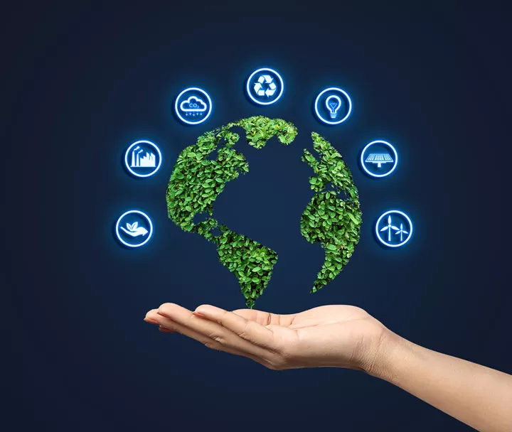 Sustainability Management Services