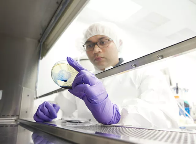 Cleanroom cleaning tools for BioPharma workflows and GMP‑compliant contamination control.